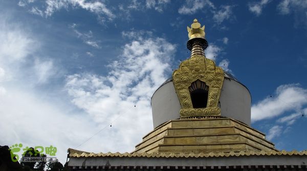 甘南行第三日-碌曲-唐克IMG_4712