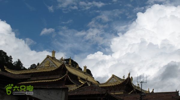 甘南行第三日-碌曲-唐克IMG_4713