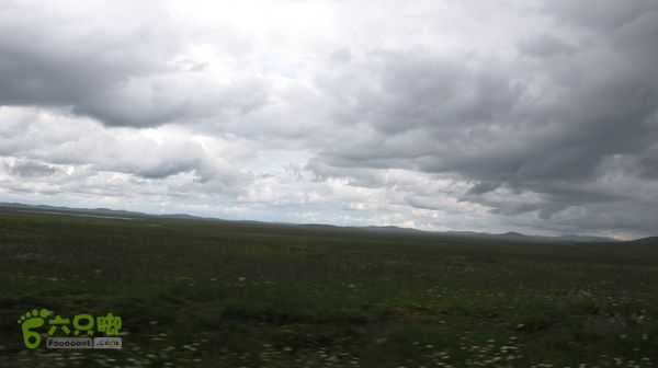 甘南行第三日-碌曲-唐克IMG_4740