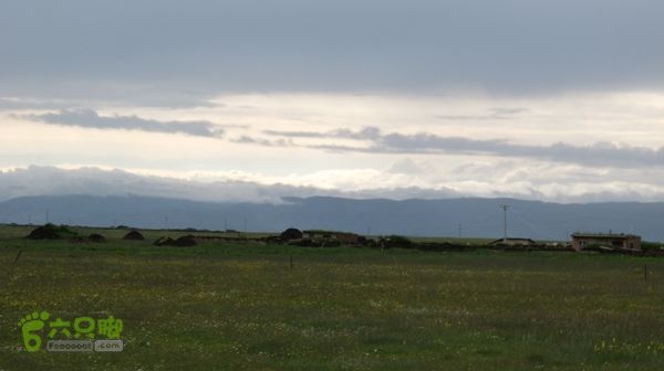 甘南行第三日-碌曲-唐克IMG_4746