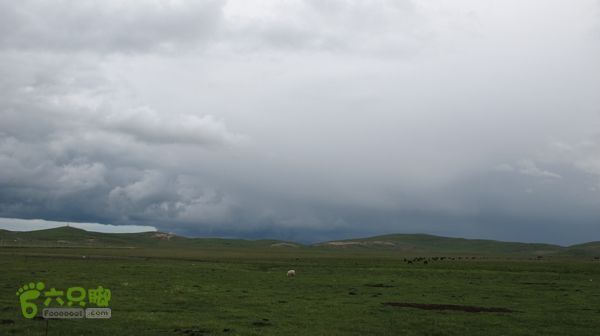 甘南行第三日-碌曲-唐克IMG_4747