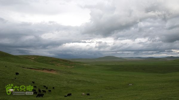 甘南行第三日-碌曲-唐克IMG_4751