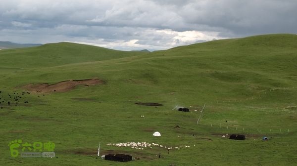 甘南行第三日-碌曲-唐克IMG_4758