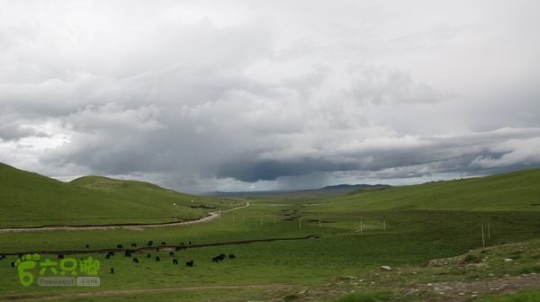 甘南行第三日-碌曲-唐克IMG_4759