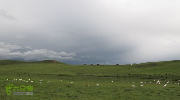 甘南行第三日-碌曲-唐克IMG_4764