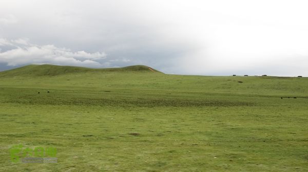 甘南行第三日-碌曲-唐克IMG_4765