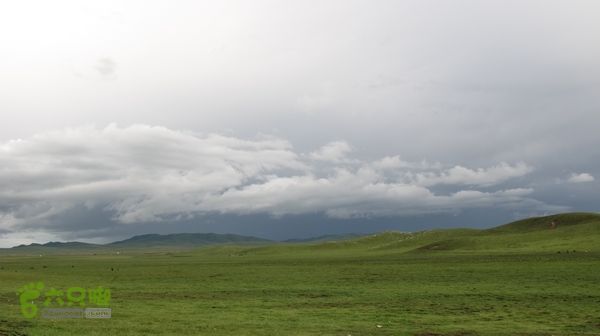 甘南行第三日-碌曲-唐克IMG_4767