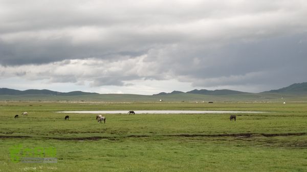 甘南行第三日-碌曲-唐克IMG_4772