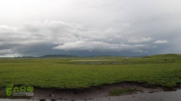 甘南行第三日-碌曲-唐克IMG_4773