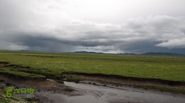 甘南行第三日-碌曲-唐克IMG_4774