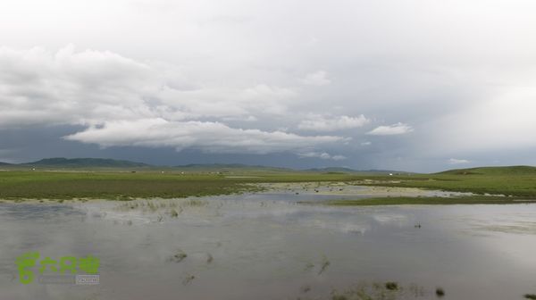 甘南行第三日-碌曲-唐克IMG_4775