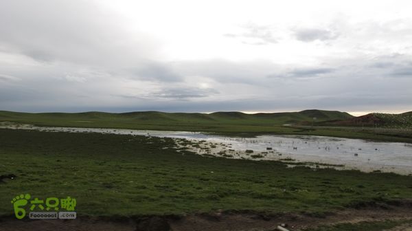 甘南行第三日-碌曲-唐克IMG_4776