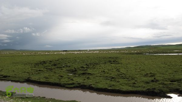 甘南行第三日-碌曲-唐克IMG_4783