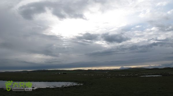 甘南行第三日-碌曲-唐克IMG_4784