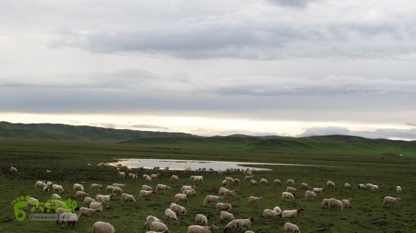 甘南行第三日-碌曲-唐克IMG_4791