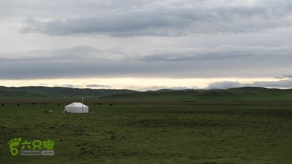 甘南行第三日-碌曲-唐克IMG_4792