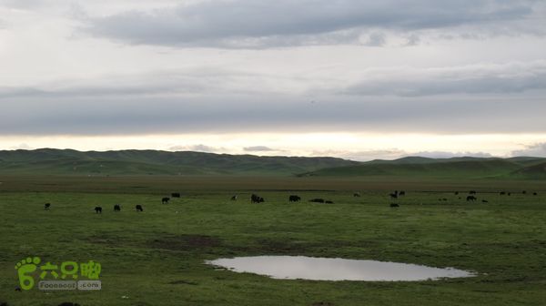 甘南行第三日-碌曲-唐克IMG_4793