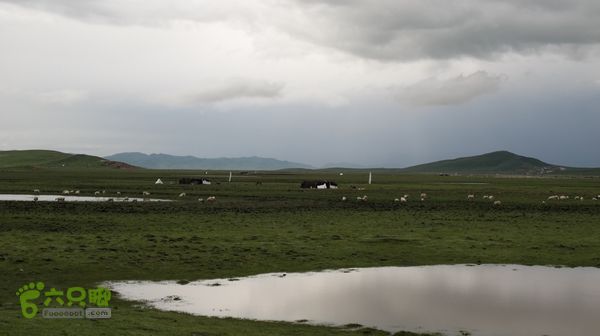 甘南行第三日-碌曲-唐克IMG_4794