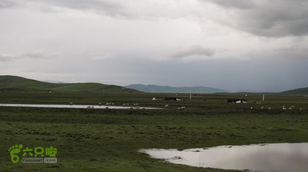 甘南行第三日-碌曲-唐克IMG_4795