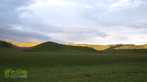 甘南行第三日-碌曲-唐克IMG_4797