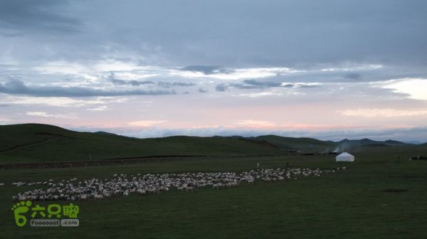 甘南行第三日-碌曲-唐克IMG_4815