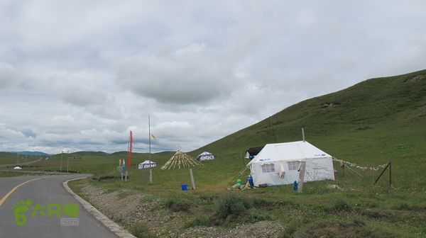 甘南行第四日，唐克-夏河IMG_4928