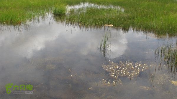甘南行第四日，唐克-夏河IMG_4960