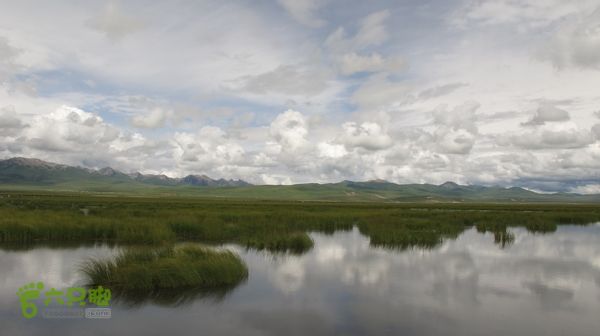 甘南行第四日，唐克-夏河IMG_4970