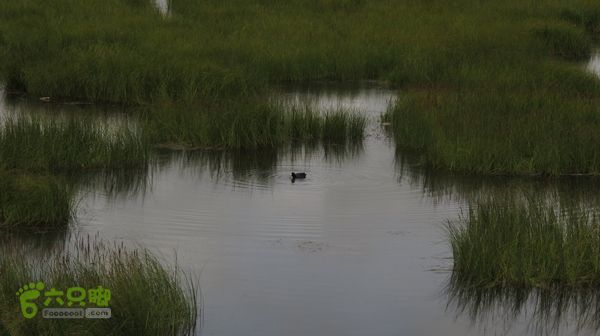 甘南行第四日，唐克-夏河IMG_4977