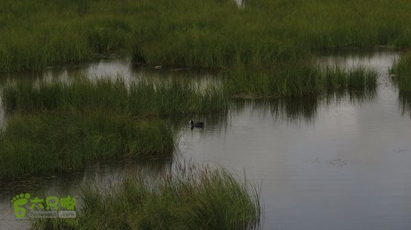 甘南行第四日，唐克-夏河IMG_4979