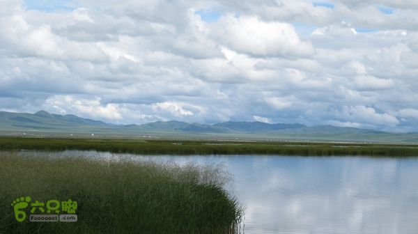 甘南行第四日，唐克-夏河IMG_4987
