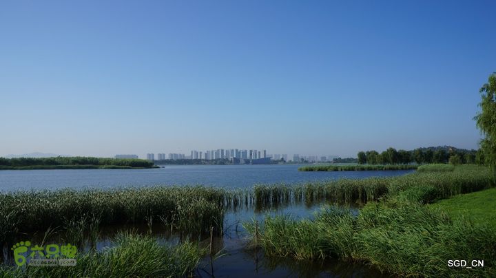 莲花湖_国家城市湿地公园DSC00414