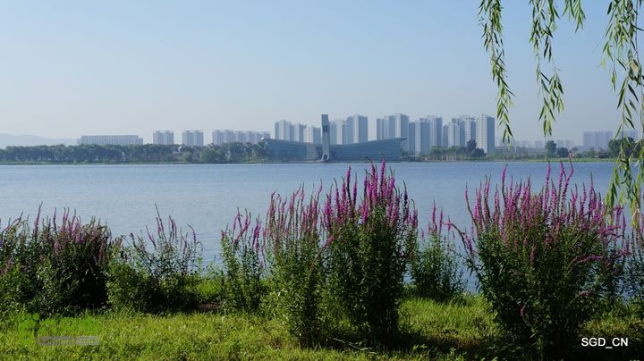 莲花湖_国家城市湿地公园DSC00423