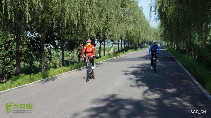 莲花湖_国家城市湿地公园DSC00438