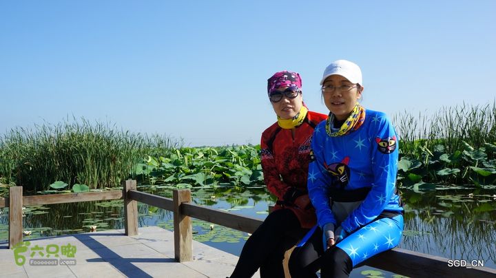 莲花湖_国家城市湿地公园DSC00450