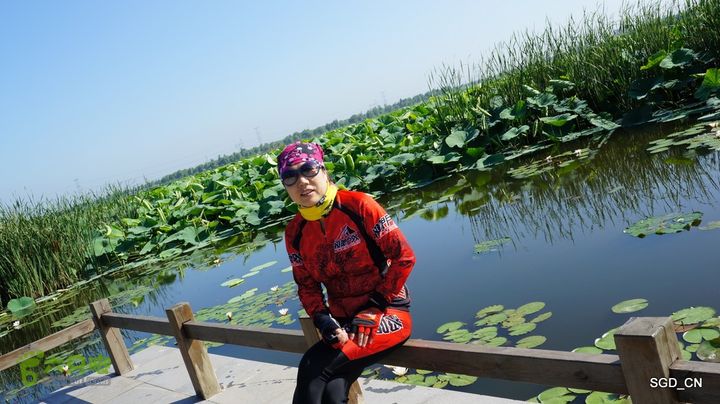 莲花湖_国家城市湿地公园DSC00452