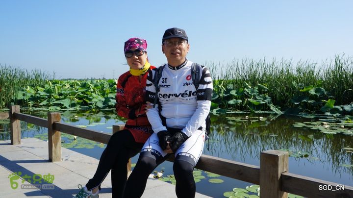莲花湖_国家城市湿地公园DSC00453