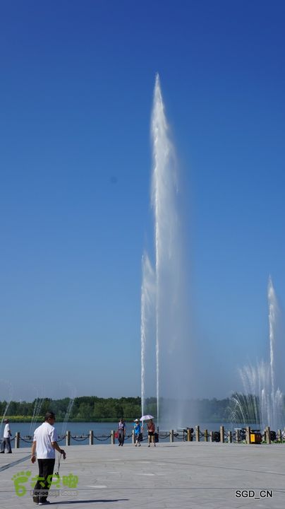 莲花湖_国家城市湿地公园DSC00493