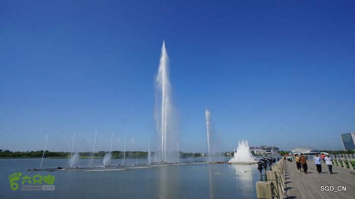 莲花湖_国家城市湿地公园DSC00504