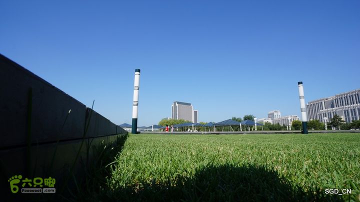 莲花湖_国家城市湿地公园DSC00528