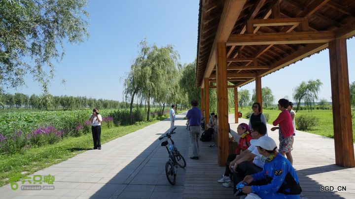 莲花湖_国家城市湿地公园DSC00567