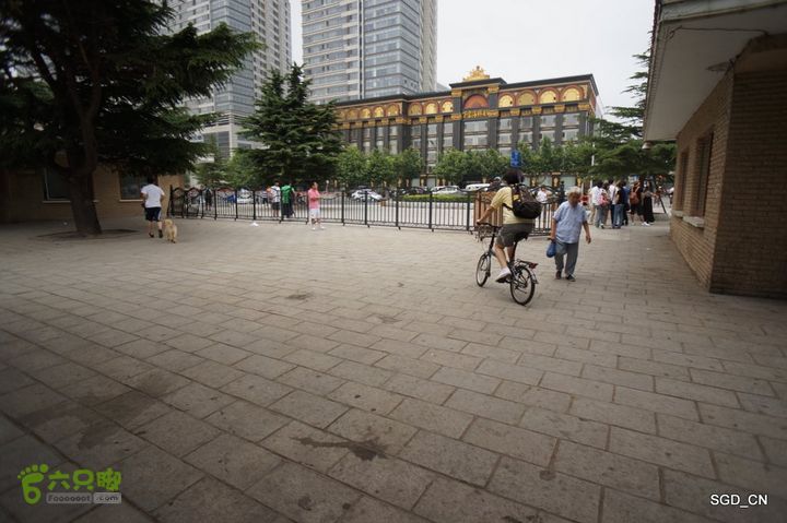 大连劳动公园_电视塔DSC00949