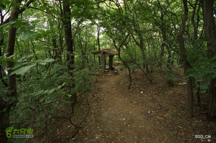 大连劳动公园_电视塔DSC00884