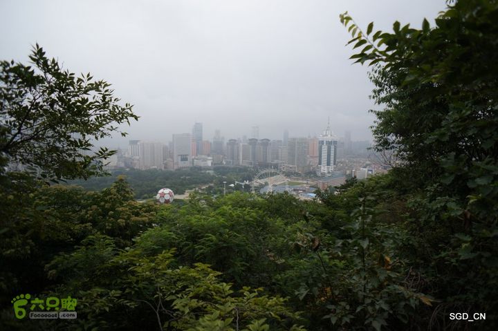 大连劳动公园_电视塔DSC00890