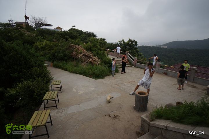 大连劳动公园_电视塔DSC00903