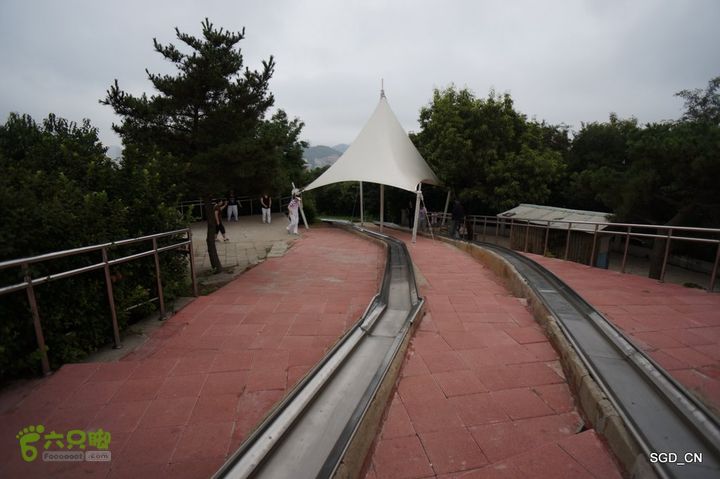 大连劳动公园_电视塔DSC00910