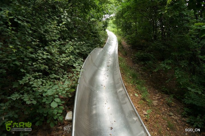 大连劳动公园_电视塔DSC00913