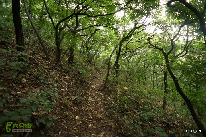 大连劳动公园_电视塔DSC00914
