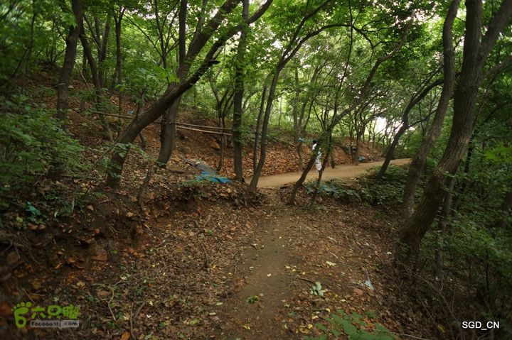 大连劳动公园_电视塔DSC00916