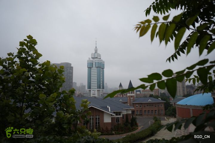 大连劳动公园_电视塔DSC00925
